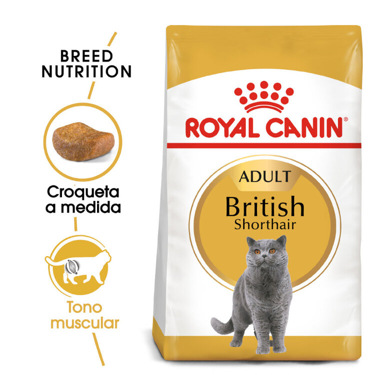 Royal Canin Adult British Shorthair pienso para gatos, , large image number null